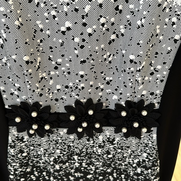 Joseph Ribkoff dress - Picture 2 of 5